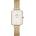 Daniel Wellington DW00100556