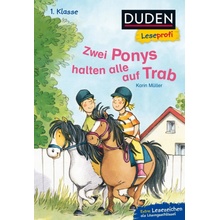 DUDEN Leseprofi – Zwei Ponys halten alle auf Trab, 1. Klasse