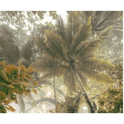 IFSH3-038 Fototapeta vliesová Palms Panorama rozměry 300x250 cm