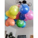 Fotka od uživatele 1