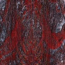 The Prime Same - Asfast CD