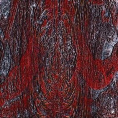The Prime Same - Asfast CD