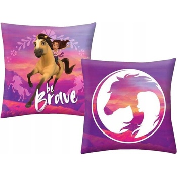 Halantex vankúš Spirit 40x40