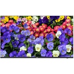 Uniview MW3255-F-V2