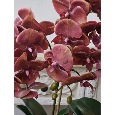 Dekorácia umelá kvetina Orchidea s kvetináčom - 32*32*57 cm - J-Line by Jolipa