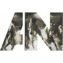 AWOLNATION - RUN (1CD)