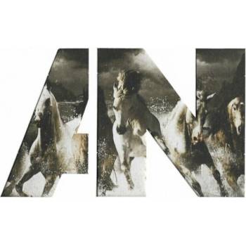 AWOLNATION - RUN (1CD)