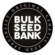 Bulk Seed Bank Ak semena neobsahují THC 5 ks
