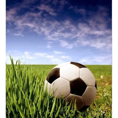 Dimex MS-3-0305 vliesová fototapeta na zeď Futbalová lopta rozmery 225 x 250 cm
