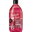 Nature Box šampón Pomegranate Oil 385 ml
