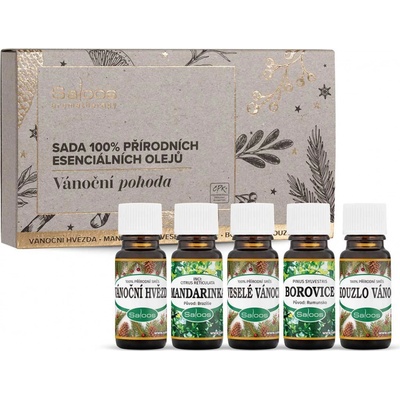 Saloos Vánoční pohoda sada vonné oleje 5 x 10 ml – Zboží Dáma