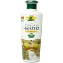 Herbaria Banfi Vlasový aplikátor Žihľava 250 ml