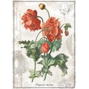 Interdruk Botanický mak 1000 dielov