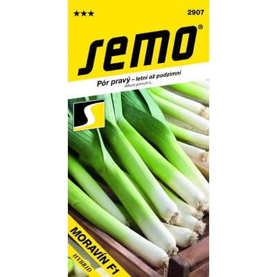 Semo Pór letní - Moravín F1 2g