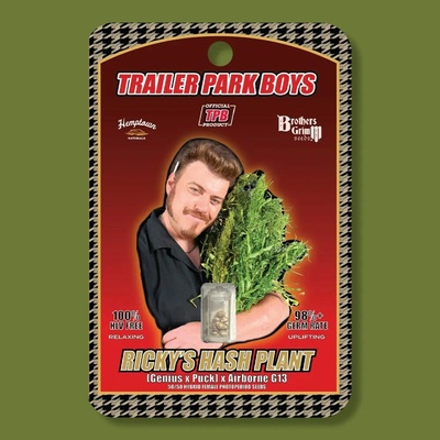 Brothers Grimm Seeds Rickys Hash Plant semienka neobsahujú THC 9 ks