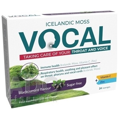 RPM Pharma France Sárl Vocal 24 pastiliek