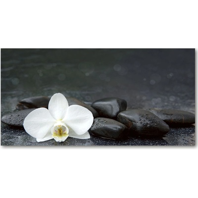 Foto obraz fotografie na skle orchidea 100x50 cm