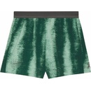 On Performance Shorts Terra