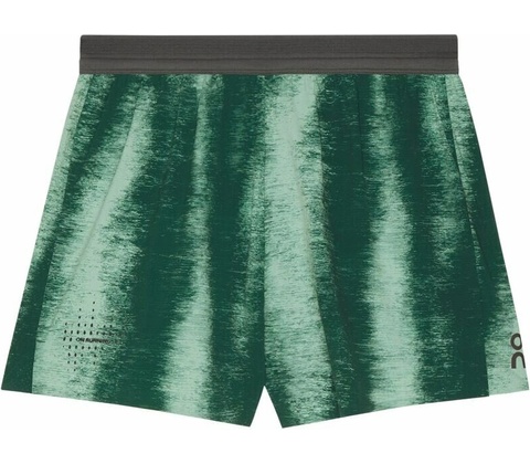 On Performance Shorts Terra