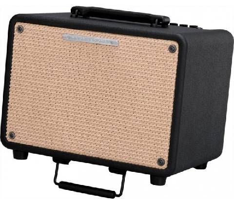 Ibanez T 30