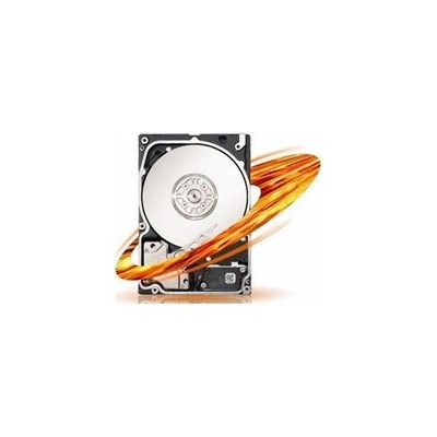 Seagate Savvio 10K.5 300GB, SAS, 10000RPM, 64MB, ST9300605SS