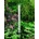 TFA 12.2002 Jumbo 115cm