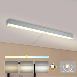 Brilagi - LED таванно осветително тяло за баня SLEEKLINE LED/40W/230V сребристо IP44 (BG3778)