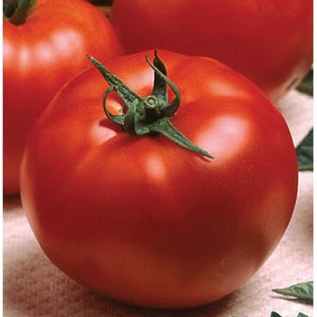 Домати Оптима f1