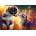 Castorland - Puzzle New Friendship - 500 piese