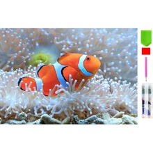 RealG RC-K-144 diamatová maľba 5D 20 x 30 cm Nemo