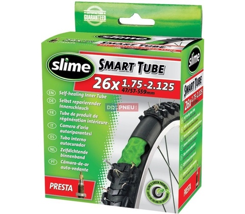 SLIME FV