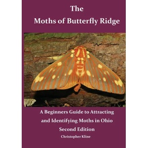 The Moths of Butterfly Ridge | Christopher Kline (ISBN: 9781734619713)