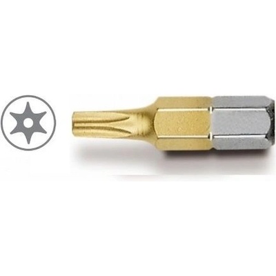Witte TORX T 20 TIN otvor 29595