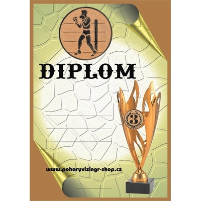 VIZINGR Box diplom A4č.9
