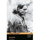 Grey Owl - Vicky Shipton