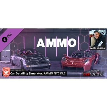 Games Incubator Car Detailing Simulator AMMO NYC DLC (PC)