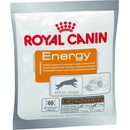 Maškrty pre psov Royal Canin Energy 50 g