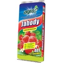 Agro CS Substrát na jahody CS 45 l