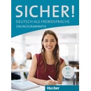 Sicher!: Übungsgrammatik