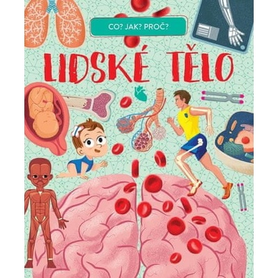 Lidské tělo