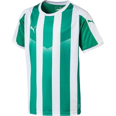 Puma Liga Striped kids f15 703425 015