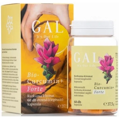 Gal Biocurcumin Forte 300 mg x 60 kapslí