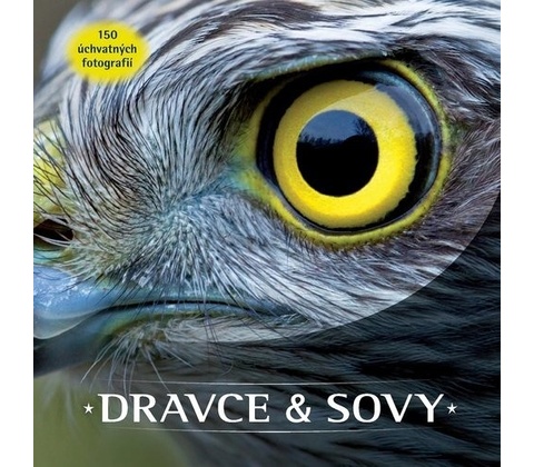 Dravce a sovy