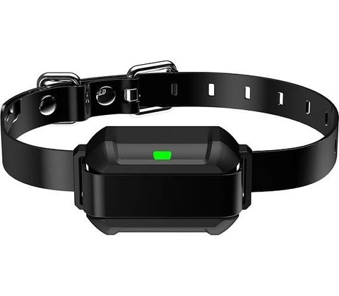 Patpet F900 PLUS