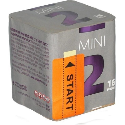 Mini 2 16 ran