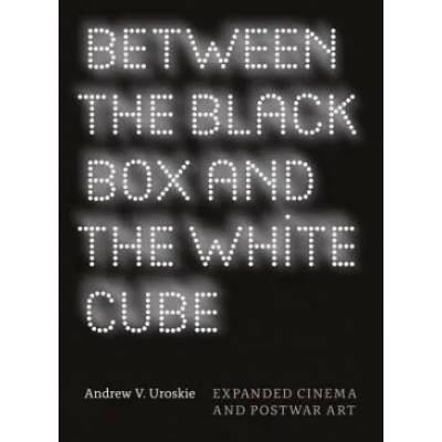 Between the Black Box and the White Cube | Andrew V Uroskie