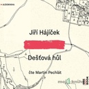 Dešťová hůl