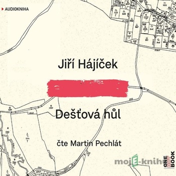 Dešťová hůl