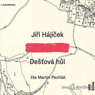 Dešťová hůl
