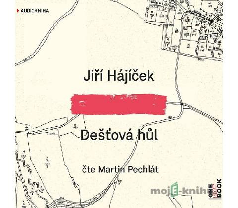 Dešťová hůl